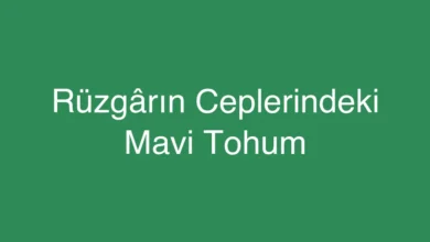 Rüzgârın Ceplerindeki Mavi Tohum