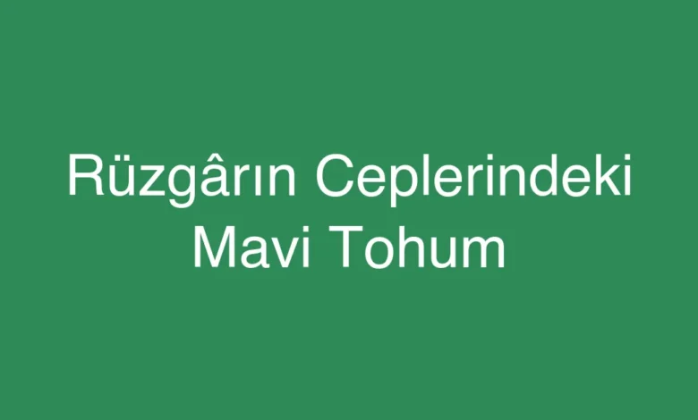 Rüzgârın Ceplerindeki Mavi Tohum