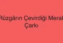 Rüzgârın Çevirdiği Merak Çarkı