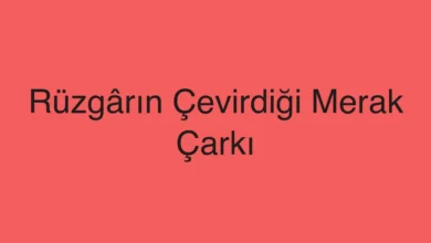 Rüzgârın Çevirdiği Merak Çarkı