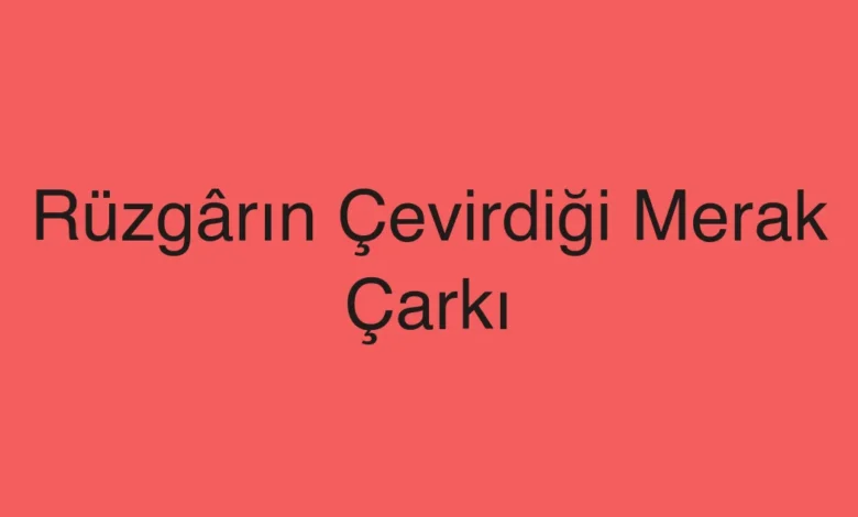 Rüzgârın Çevirdiği Merak Çarkı