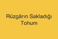 Rüzgârın Sakladığı Tohum