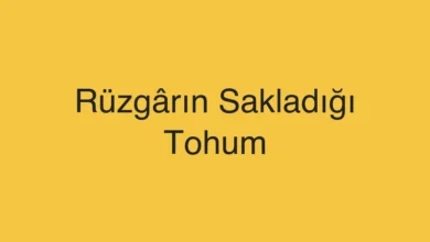Rüzgârın Sakladığı Tohum