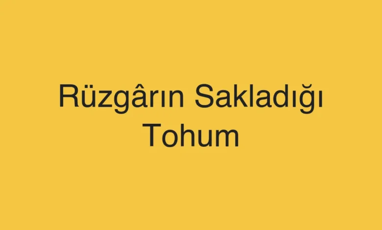 Rüzgârın Sakladığı Tohum