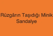 Rüzgârın Taşıdığı Minik Sandalye