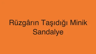 Rüzgârın Taşıdığı Minik Sandalye