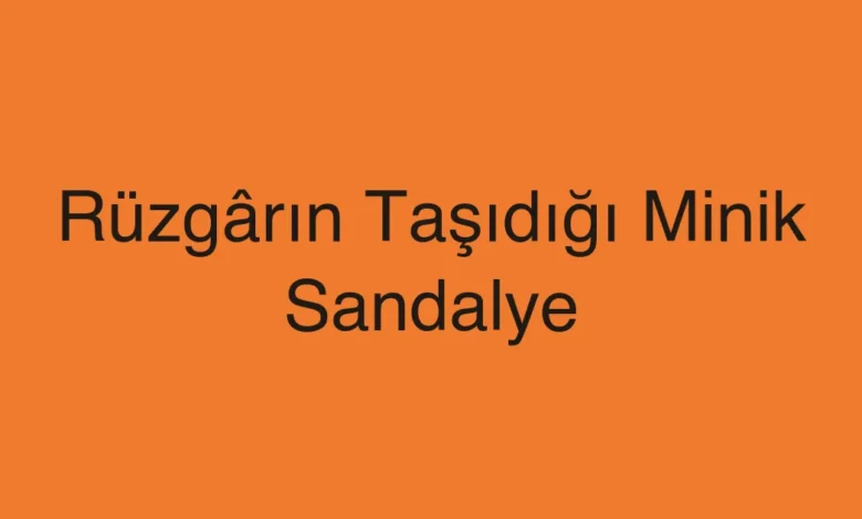 Rüzgârın Taşıdığı Minik Sandalye