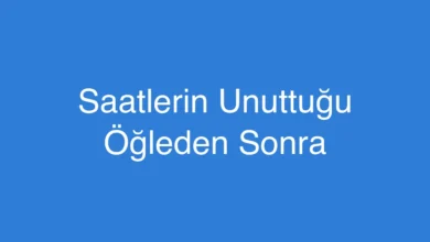 Saatlerin Unuttuğu Öğleden Sonra