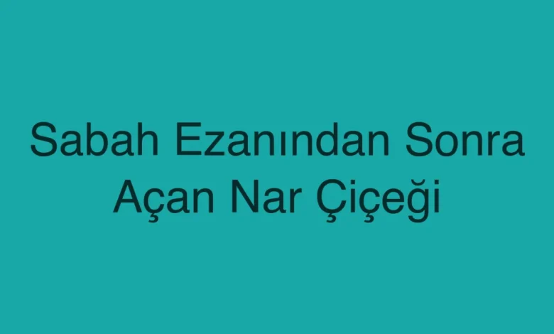 Sabah Ezanından Sonra Açan Nar Çiçeği