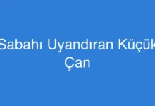 Sabahı Uyandıran Küçük Çan
