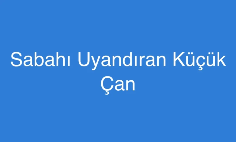 Sabahı Uyandıran Küçük Çan