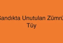 Sandıkta Unutulan Zümrüt Tüy