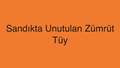 Sandıkta Unutulan Zümrüt Tüy