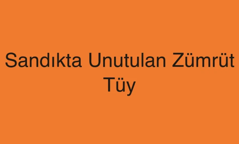 Sandıkta Unutulan Zümrüt Tüy