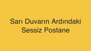 Sarı Duvarın Ardındaki Sessiz Postane