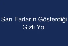 Sarı Farların Gösterdiği Gizli Yol