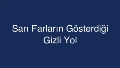 Sarı Farların Gösterdiği Gizli Yol