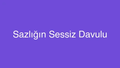 Sazlığın Sessiz Davulu