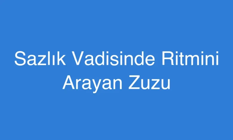 Sazlık Vadisinde Ritmini Arayan Zuzu