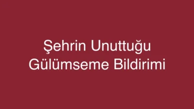 Şehrin Unuttuğu Gülümseme Bildirimi