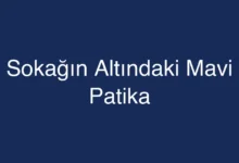 Sokağın Altındaki Mavi Patika