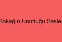 Sokağın Unuttuğu Sesler
