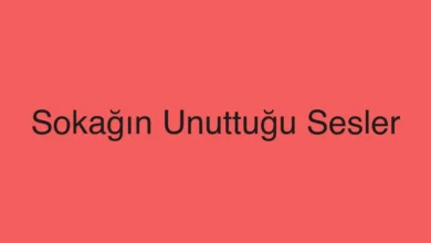 Sokağın Unuttuğu Sesler