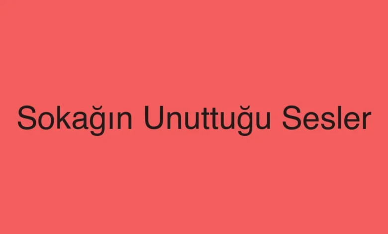 Sokağın Unuttuğu Sesler