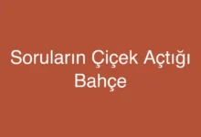Soruların Çiçek Açtığı Bahçe