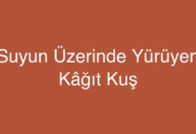 Suyun Üzerinde Yürüyen Kâğıt Kuş