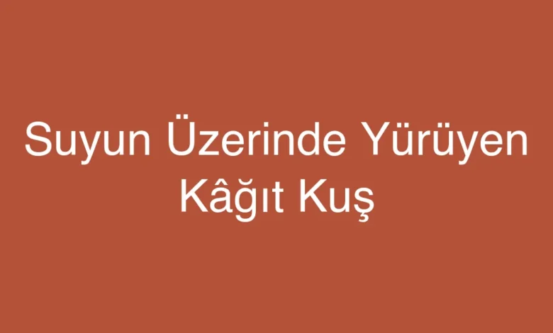 Suyun Üzerinde Yürüyen Kâğıt Kuş
