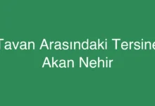 Tavan Arasındaki Tersine Akan Nehir