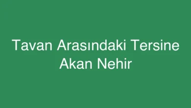 Tavan Arasındaki Tersine Akan Nehir
