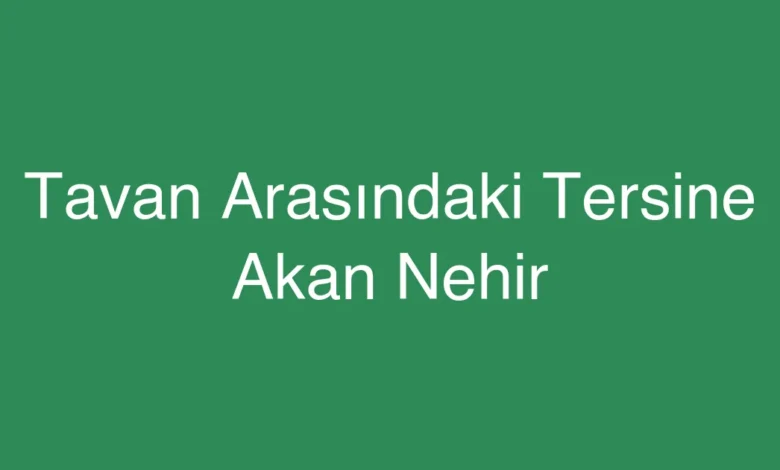 Tavan Arasındaki Tersine Akan Nehir