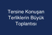 Tersine Konuşan Terliklerin Büyük Toplantısı