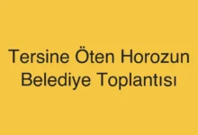 Tersine Öten Horozun Belediye Toplantısı