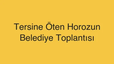 Tersine Öten Horozun Belediye Toplantısı