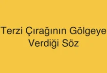 Terzi Çırağının Gölgeye Verdiği Söz
