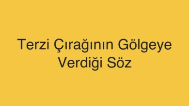 Terzi Çırağının Gölgeye Verdiği Söz