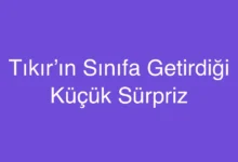 Tıkır’ın Sınıfa Getirdiği Küçük Sürpriz