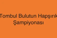 Tombul Bulutun Hapşırık Şampiyonası