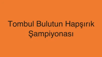 Tombul Bulutun Hapşırık Şampiyonası