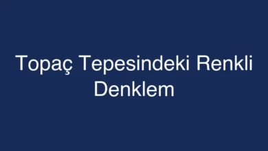 Topaç Tepesindeki Renkli Denklem