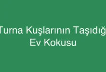 Turna Kuşlarının Taşıdığı Ev Kokusu
