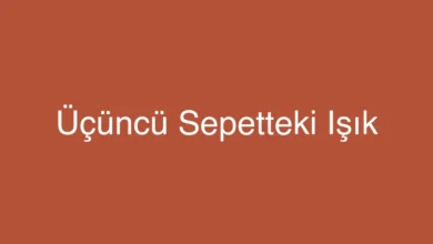 Üçüncü Sepetteki Işık