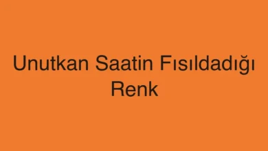 Unutkan Saatin Fısıldadığı Renk