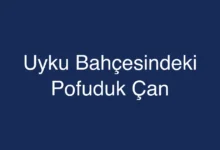 Uyku Bahçesindeki Pofuduk Çan