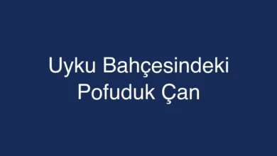 Uyku Bahçesindeki Pofuduk Çan