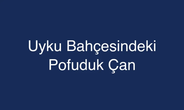 Uyku Bahçesindeki Pofuduk Çan