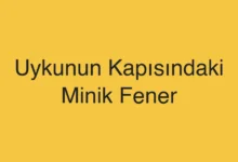 Uykunun Kapısındaki Minik Fener